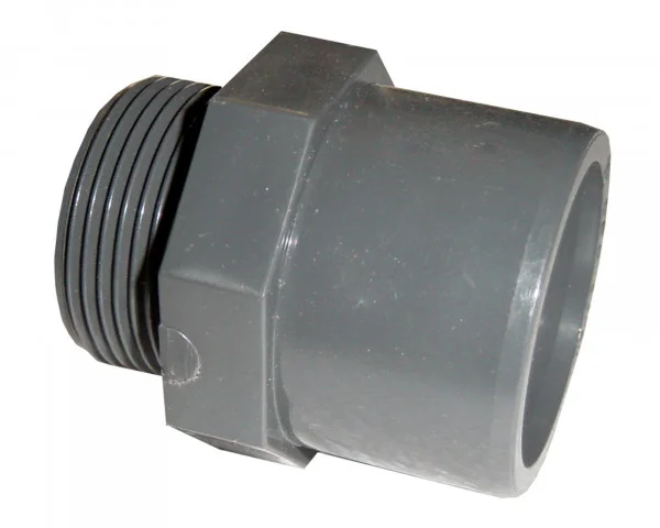 bowi-1239125