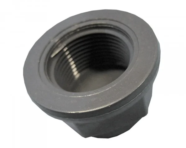 bowi-1239589