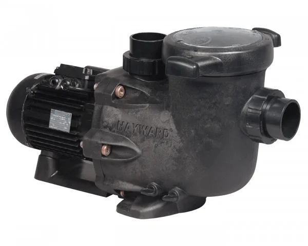 bowi-1239824
