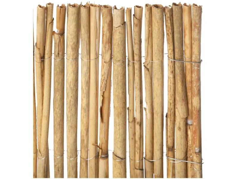 obi2-1069746