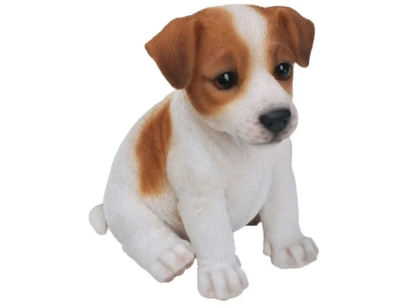 obi2-1075907