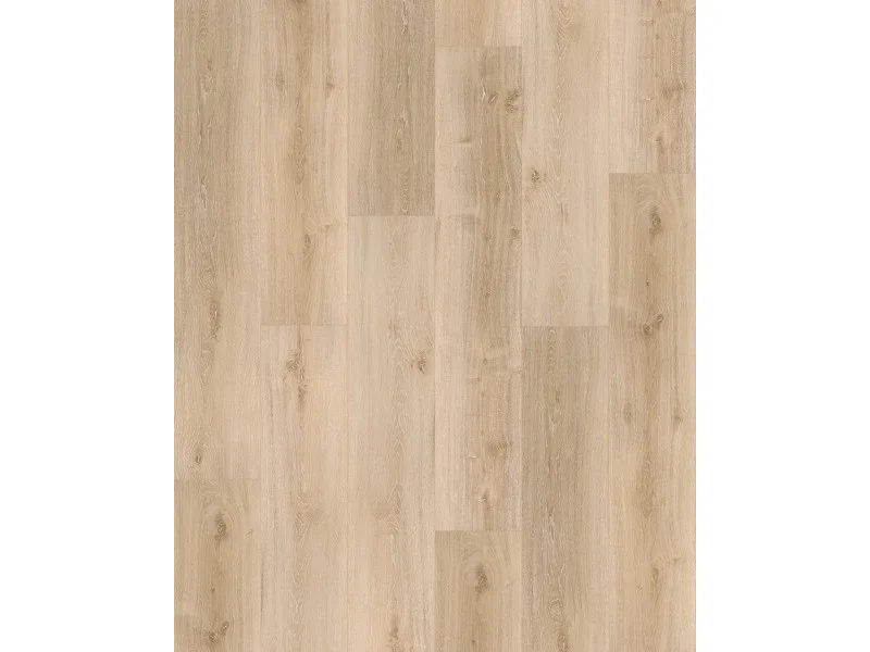 obi3-1104855