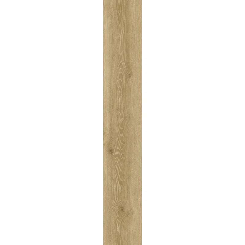 obi3-1128875