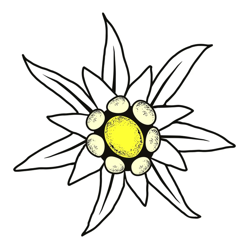 obi4-1099706