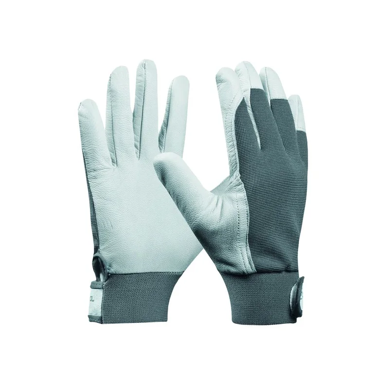 ramo-handels1-1333369