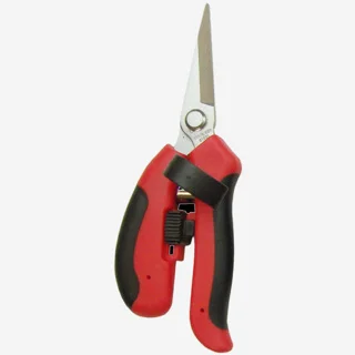 ramo-handels1-1351592