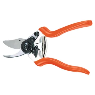 ramo-handels1-1351684