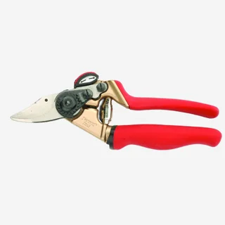 ramo-handels2-1263781