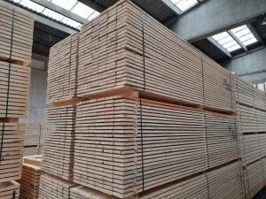 ramo-handels2-1288308