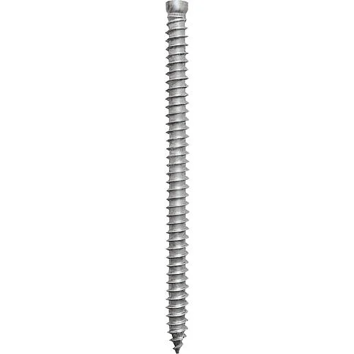 sanitaerschweiz31216120